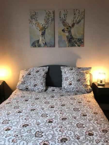 Bel Appartement Hypercentre T3/70 M2 Clermont-Ferrand Ngoại thất bức ảnh